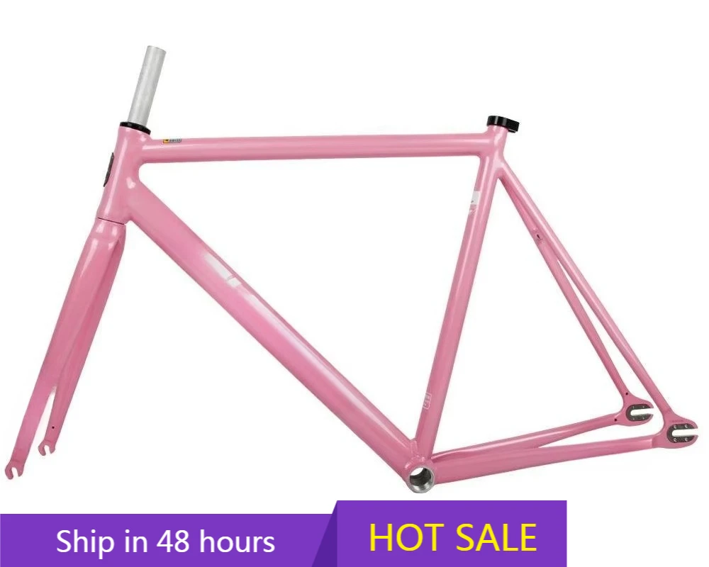 

YTYIN Low Price High Quality SNM100 Trailblazer Dead Flying Aluminum Alloy Racing Track Bicycle Frame