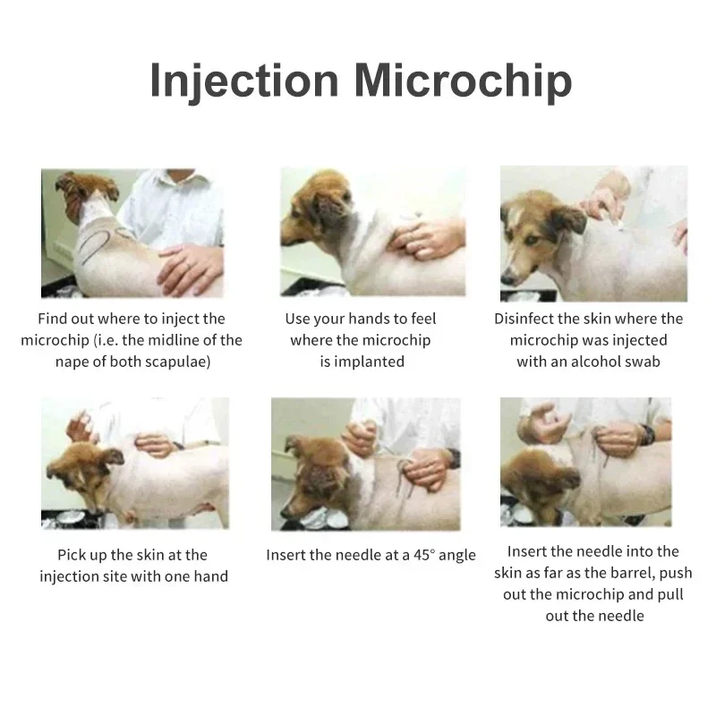 Seringue à micropuce injectable pour animaux de compagnie, étiquette en verre pour animaux de compagnie, 134.2KHz, FDX B ISO11784/85, ICAR, pour chat et chien, 20 paquets