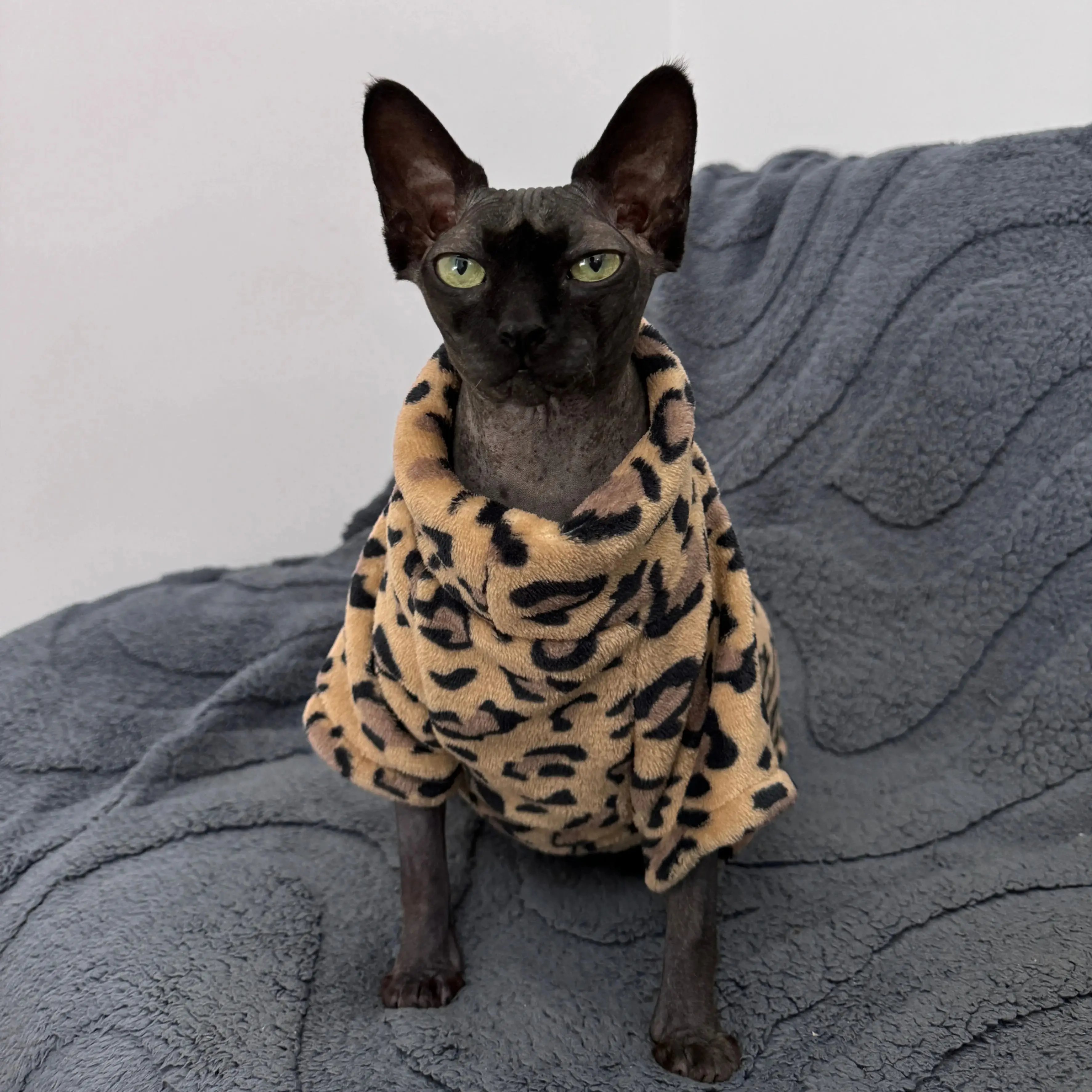 Katzenkleidung, modisch, Winter, weich, warm, für Sphynx-Katzenkleidung, bequem, verdickt, haarlos, Katzen- und Kätzchen-Outfits – Detail 2