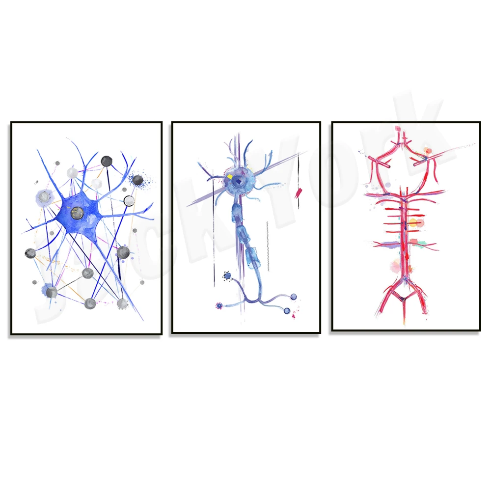 Neuron Art, Neuron Synapse Art Print, Brain Anatomy, Neurology Art, Neurologist Gift, Physical Therapy Art, Neuron Anatomy Poste