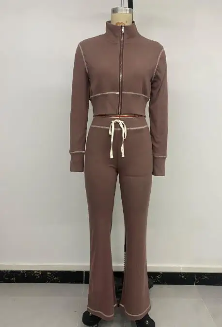 

Two Piece Set Women Outfit 2025 Spring Autumn New Solid Color Stand Collar Long Sleeved Crop Zipper Jacket & Casual Pants Set