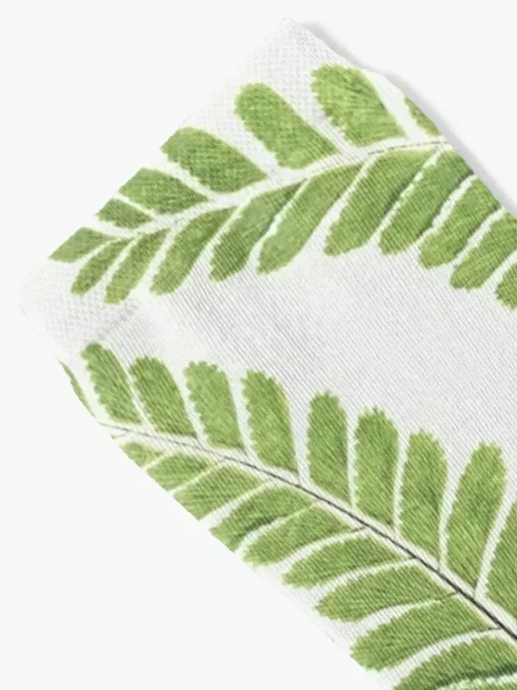 Fantastic Fern Fronds Socks gift FASHION football Children's Male Socks Women's