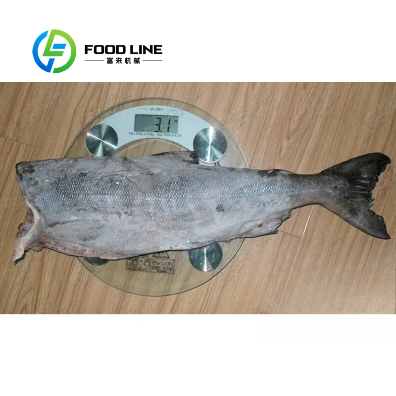 Customized Automatic Medium Fish Belly Cutter & Mackerel Filleting Machine for Seafood Processing