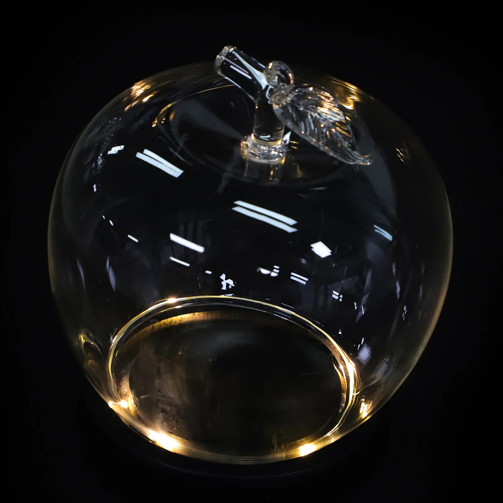 

Стеклянный купол с консервированными цветами на светящемся основании, изящная форма, маленькая витрина, декоративное цветочное украшение, мини-витрина