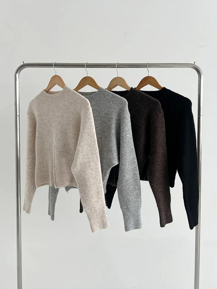 Шикарный осенний свободный крой с длинной молнией све, круглый трикотажный цветной свитер для женщин, для поездок на работу, Sle Faion