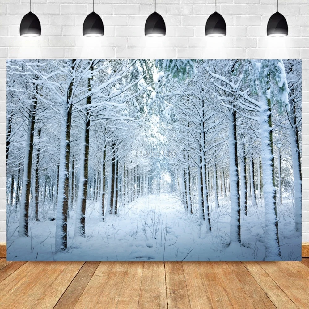 شجرة قديمة غابة الشتاء حديقة الثلج في الهواء الطلق المناظر الطبيعية الخلابة التصوير خلفية عيد الميلاد التصوير خلفية التصوير الفوتوغرافي استوديو الصور