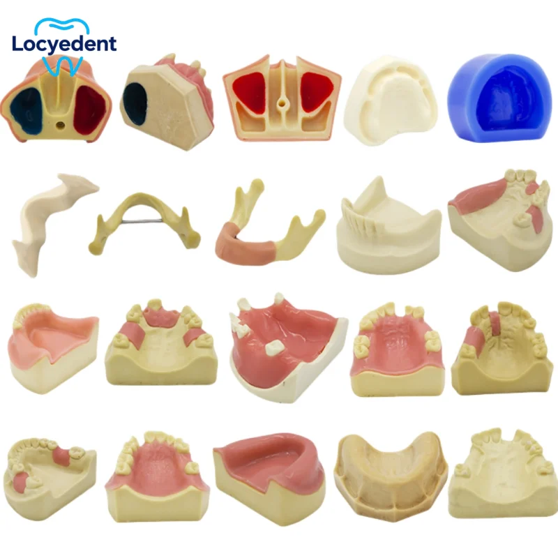 

1Pcs Dental Implant Model Training Teeth Model For Dental Technician Practice Studying Dentistry Teaching Display Tooth Models