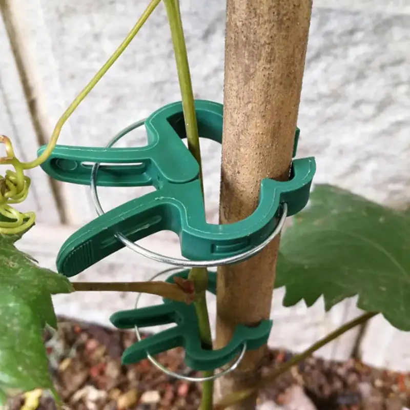 Plant Clips 20PCS Gardening Lever Loop Gripper Clips Help Stems Grow Straight Upright 2 Sizes InPack Garden Accessories