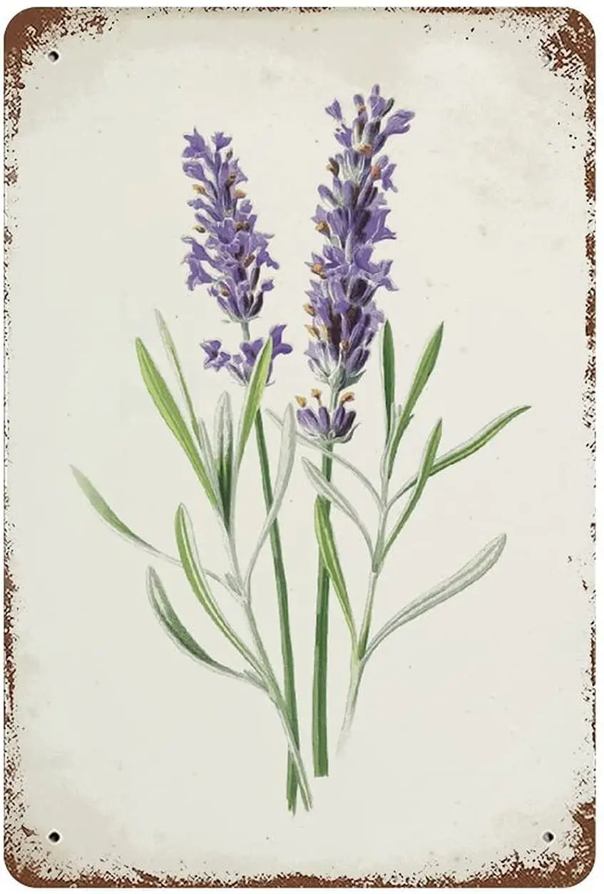 Vintage Purple Lavender Metal Tin Sign Wall Decor Art Poster Metal Wall Sign for Garden Estate 8x12 Inch sign