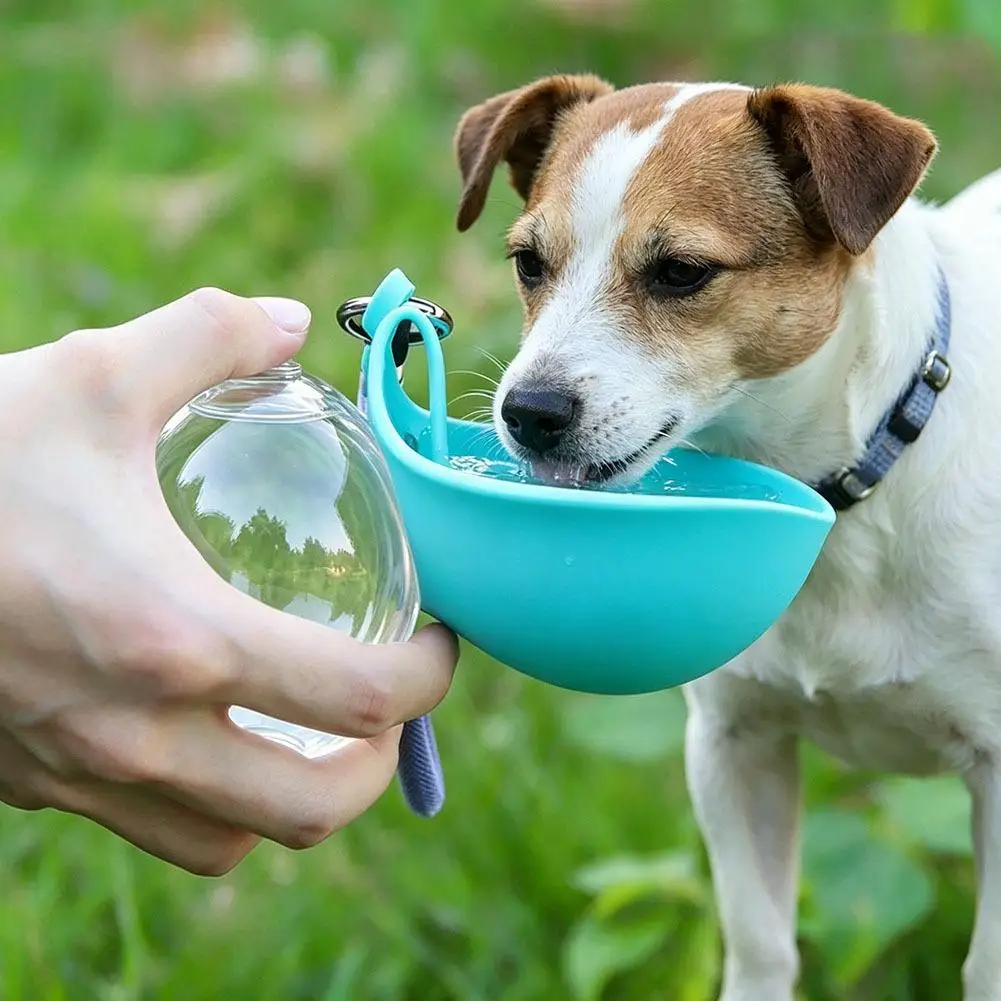 2-in-1 Faltbarer Hundewasserbecher, Tragbare Auslaufsichere Haustier-Wasserflasche mit Trageband für Outdoor-Spaziergänge
