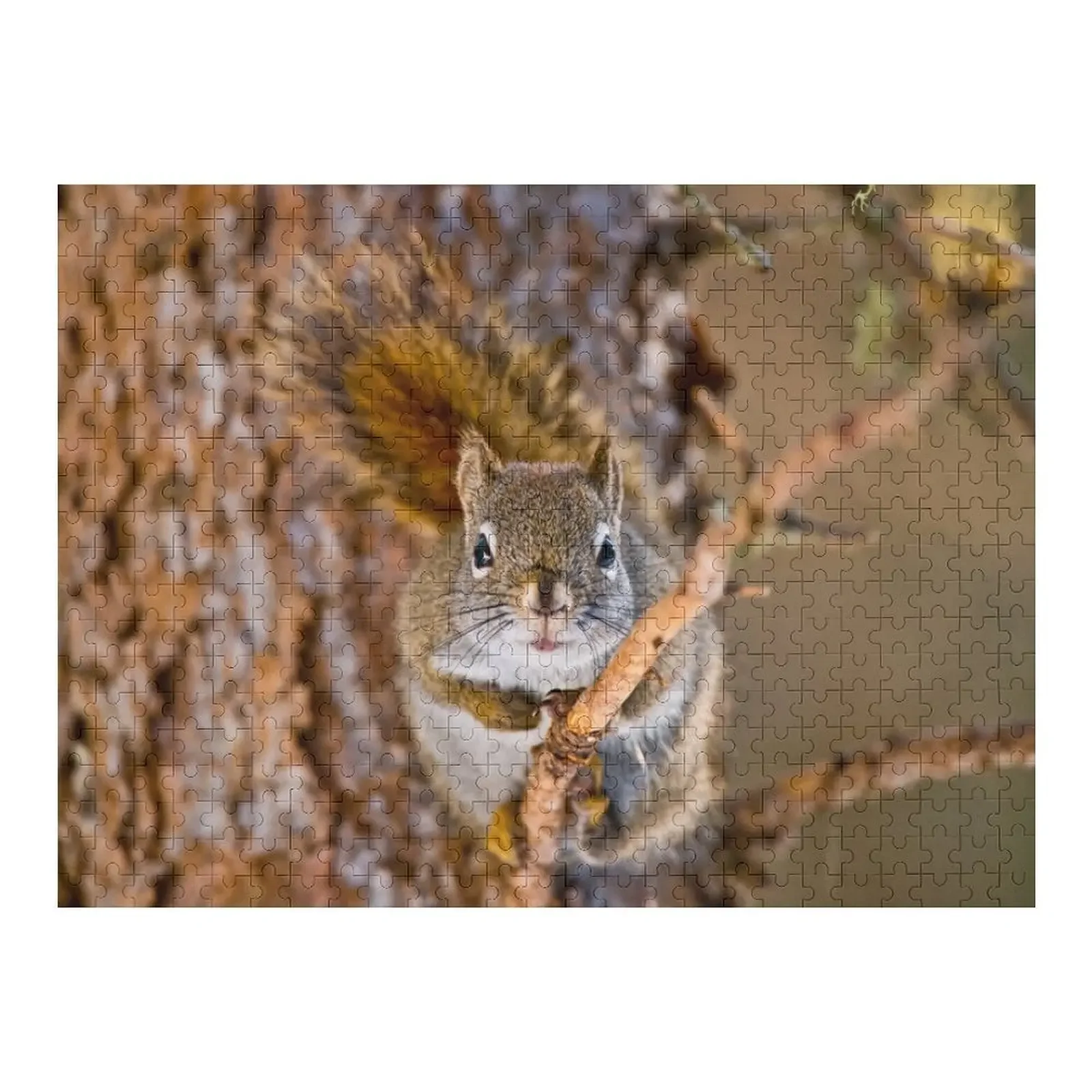 

Red Squirrel Jigsaw Puzzle Wooden Animal Customs With Photo Puzzle