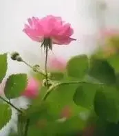 

36V 10.4Ah battery 18650 10S4P 500W high power batteries 42V 10400mAh with BMS Protection+Charger