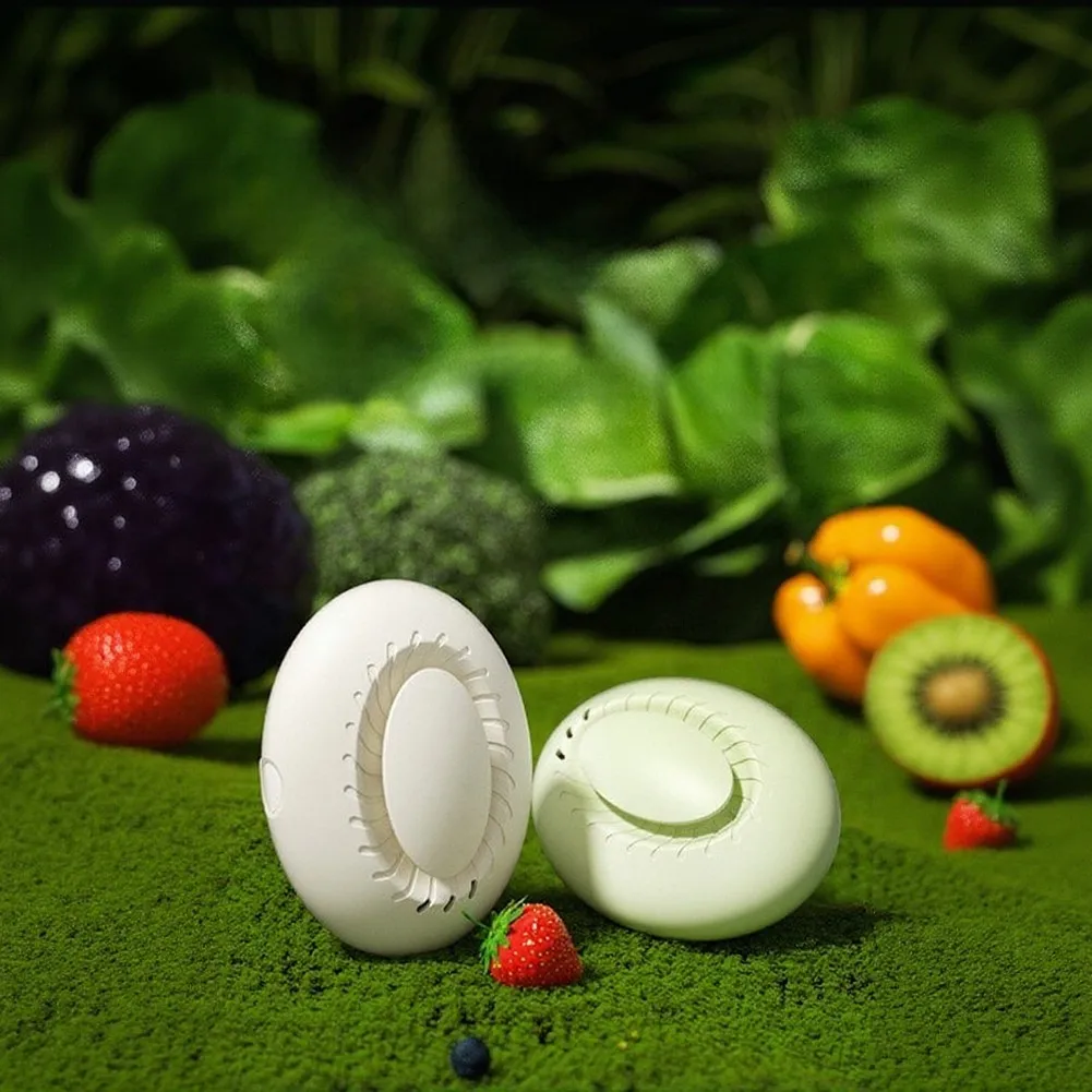 Rechargeable Air Purifier for Refrigerators Cabinets and Cars with 3-Speed Fan and Aromatherapy Box Compatibility