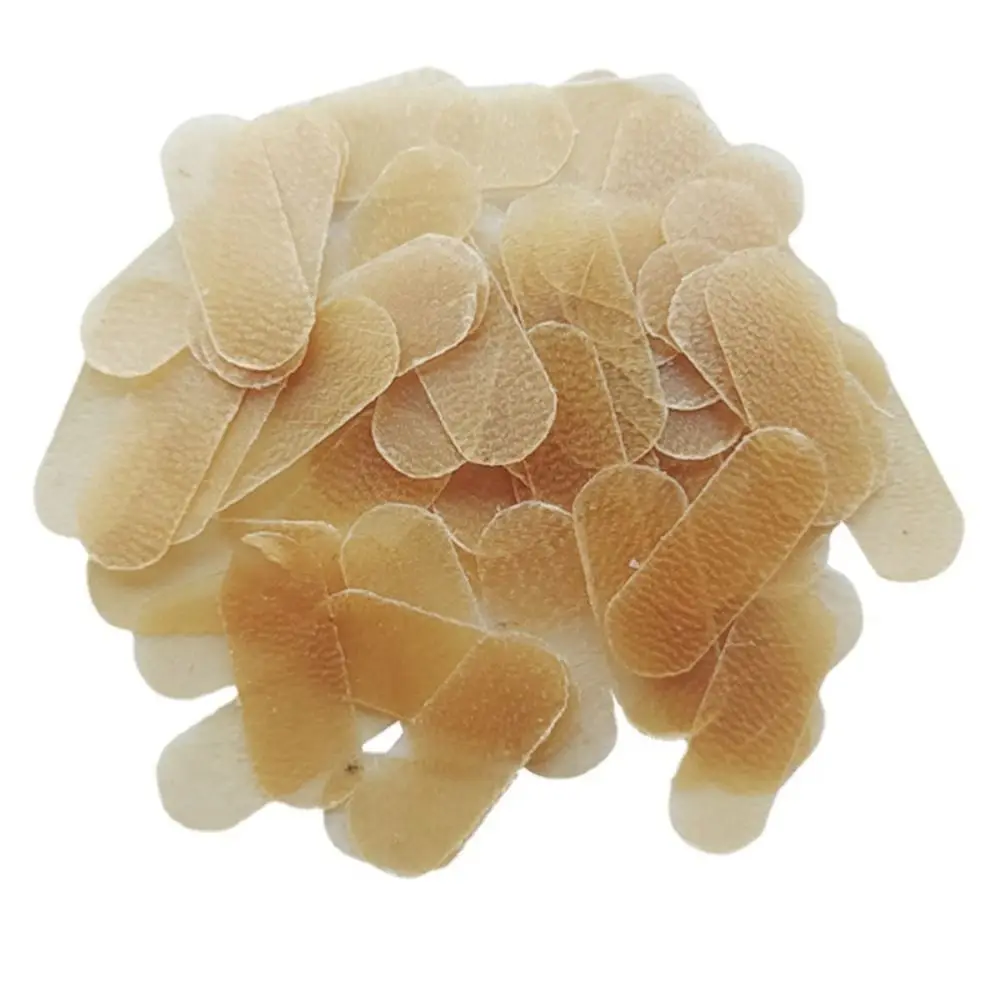 5/10Pcs Cello Bridge Parchment Protect E String Sheepskin Protection Pad Instruments Parts Parchment Instruments Accessories