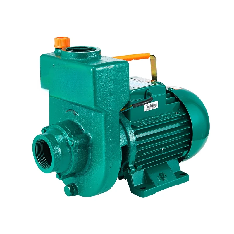 Water pump Booster  Household large flow self-priming Pumping machine Agricultural irrigation