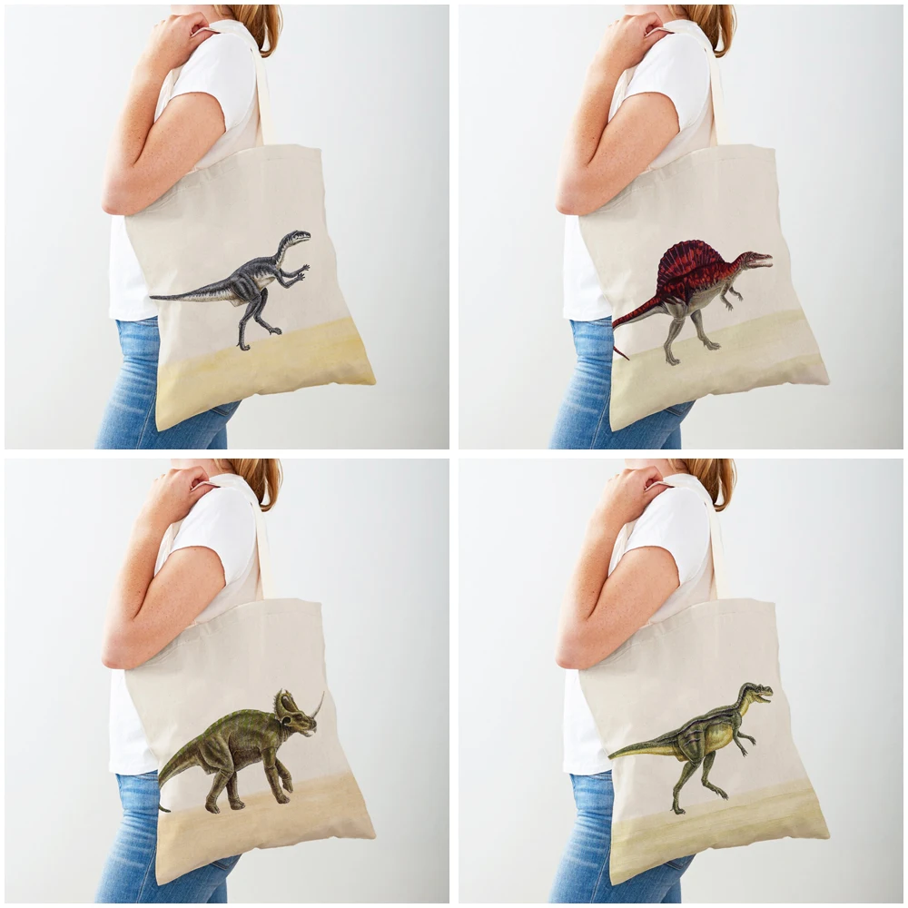 Bolsas de compras de dinosaurio Jurásico, bolso de viaje para niños de ambos lados, bolso de compras de lona con estampado de animales bonitos de dibujos animados, bolso informal