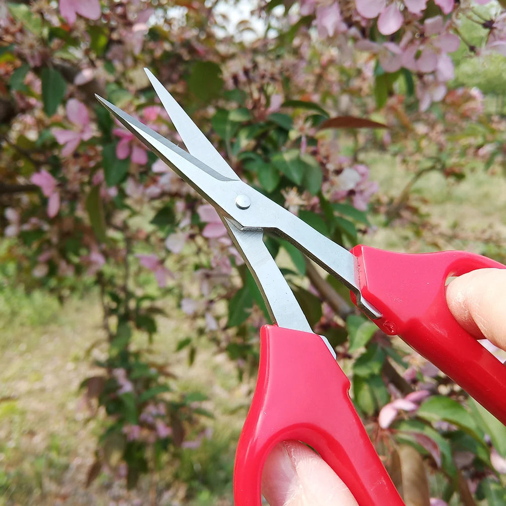 

Fruit and Vegetable Scissors Pruning Shears Floral Arrangement Tools Stainless Steel