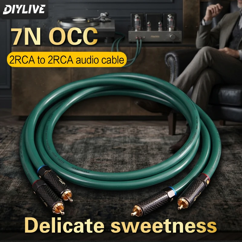 DIYLIVE Single Crystal Copper HiFi Audio Signal Cable Dual Lotus Male to Male RCA Line Cannon Scattered Line for Superior Sound