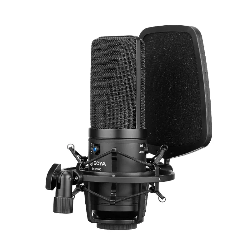 BY-M800 BY-M1000 Condenser Microphone Large Diaphragm Professional Microphone Suitable for sing recording, video recording