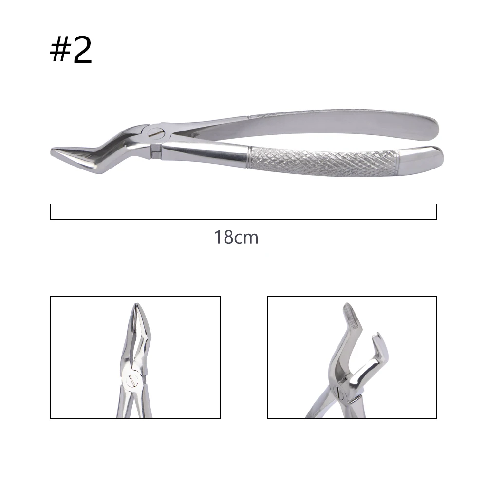 10-teiliges Set Zahnextraktionszangen mit Werkzeugset, Zahnärztliches Chirurgieinstrument für Kliniken, Zangen für Erwachsene/Kinder – Detail 7