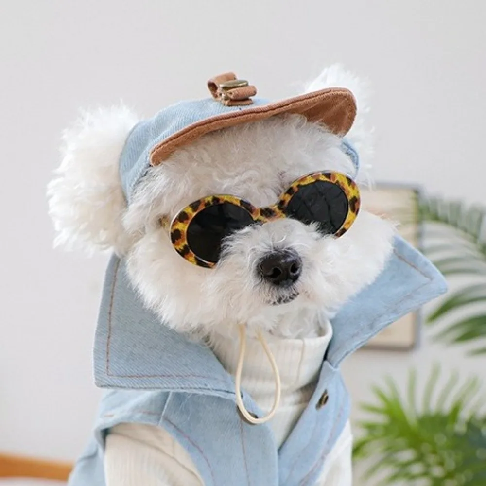Korean Style Dog Sun Hat with Sunglasses Denim Cap with Ear Holes Dog Sports Hat Adjustable Dog Visor Hats Photo Props - view 2