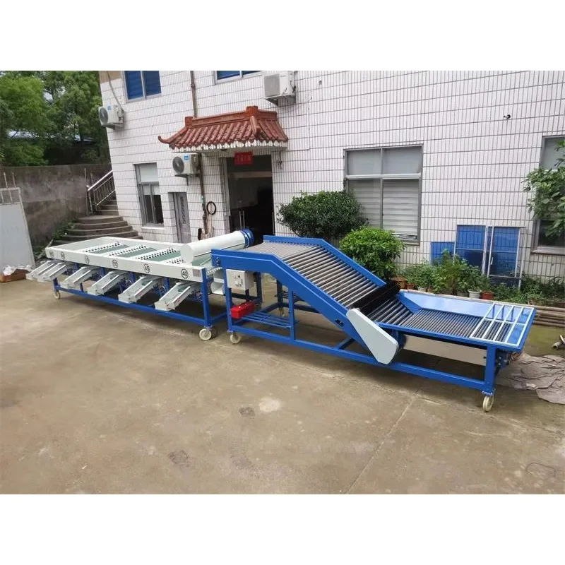 Sorting Machine Garlic Nuts Grains Beans Vegetable Peeled Garlic Sorting Machine Garlic Sorter Machine Customized