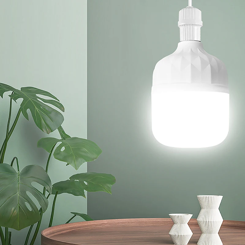 Ampoule LED pour Plafond de Maison, 220V