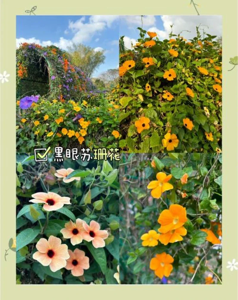 

For Jetour X70 paint pen Supplies Modification Accessories Car paint scratch repair car scratch remover Paint repair set