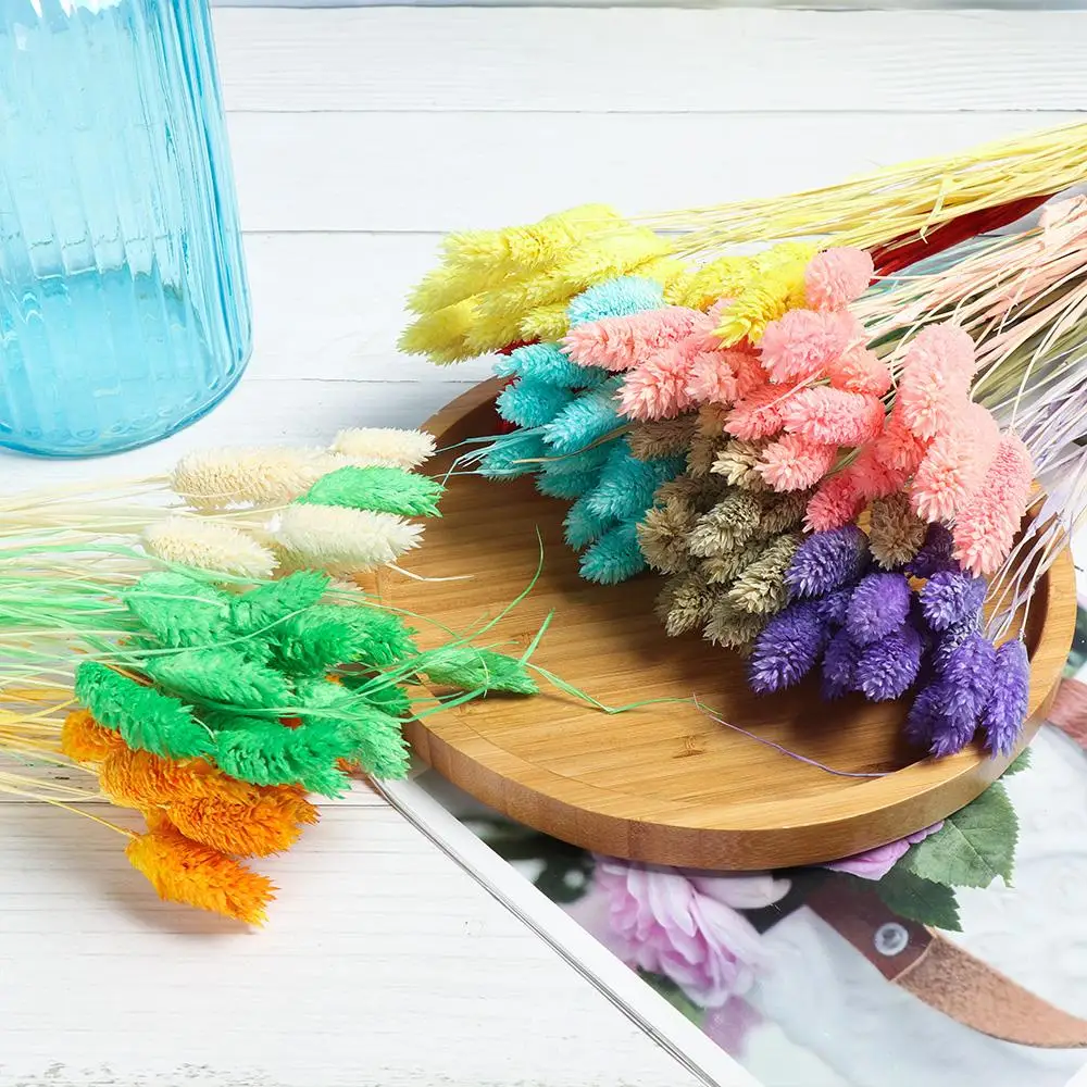 20/50PCS Natural Dried Flower Bouquets Artificial  Rabbit Tail Grass Pastoral Style Photo Props Home Decoration