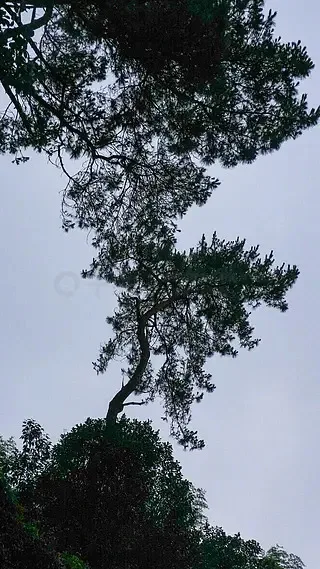 Geprc Fettec G4 Alp… - image