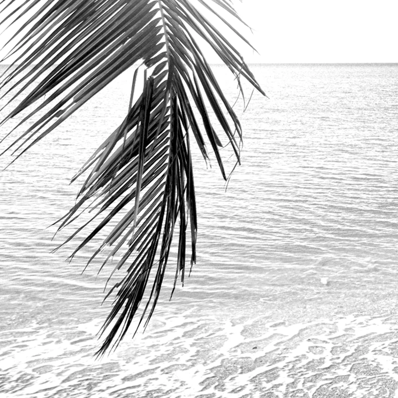 1PC frameless decorative art print,Black and White Beach landscape Canvas Painting Palm Trees Posters And Prints Wall Pictures H