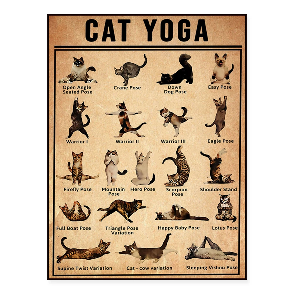 Yoga-Poster, Iyengar Yoga Asanas, Katzen-Yoga-Kunstdrucke, Yoga-Übungen zu Hause, Yoga-Liebhaber-Wohnungsdekoration, Geschenk für Katzenbesitzer