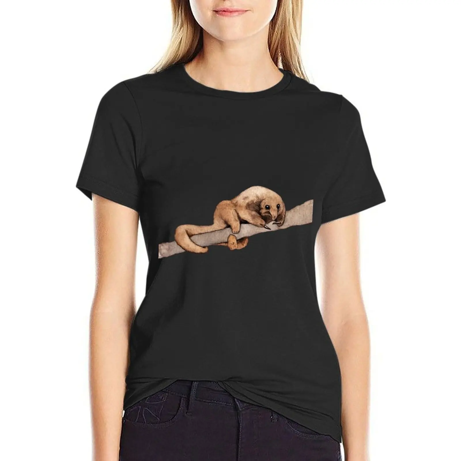 Small Silky Anteater T-Shirt plus sizes Short sleeve tee funny sports fans t shirts for Women loose fit