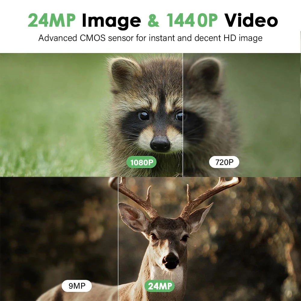 Obrázek 6: Vláčet kamera 24MP noc fotka video multifunkce outdoorové hon živočich pozorování monitor ip66 vodotěsný hon camera+32gb