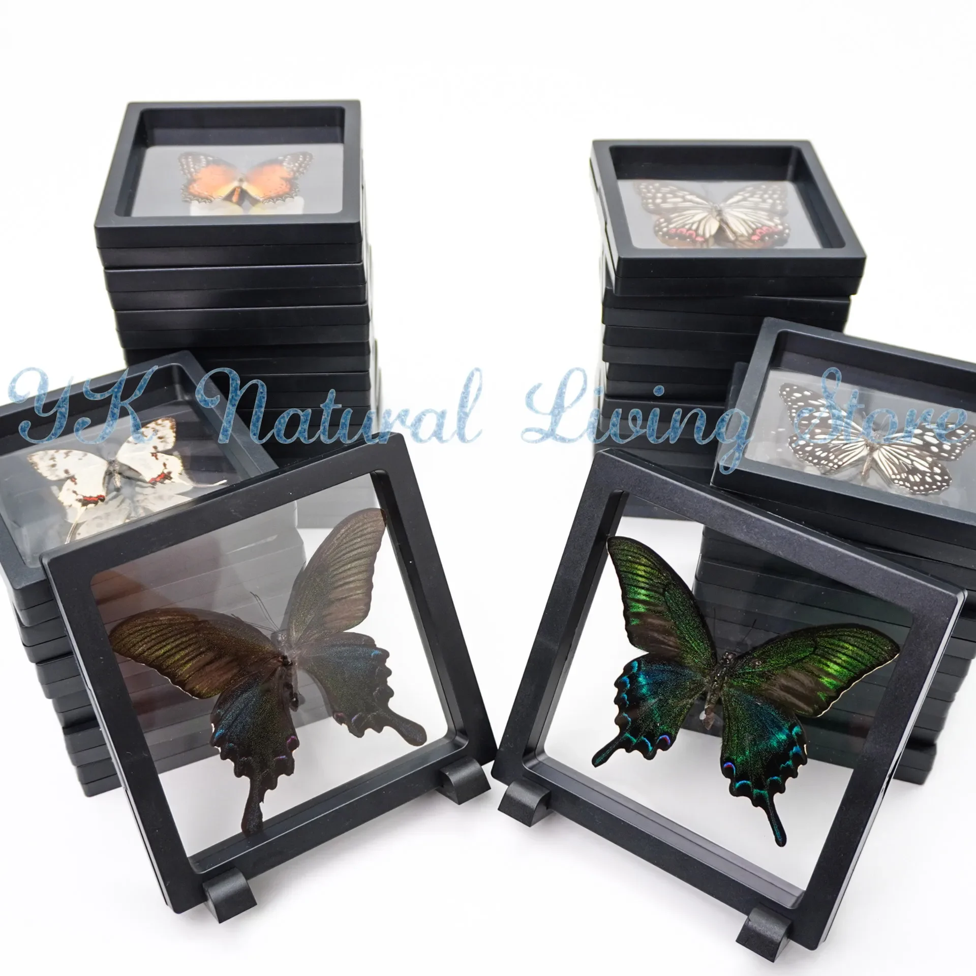 2PCS 40 Kinds Of Real Butterfly Specimens Photo Frame Office Home Desktop Bookshelf Ornaments Search Collection Display  Gift