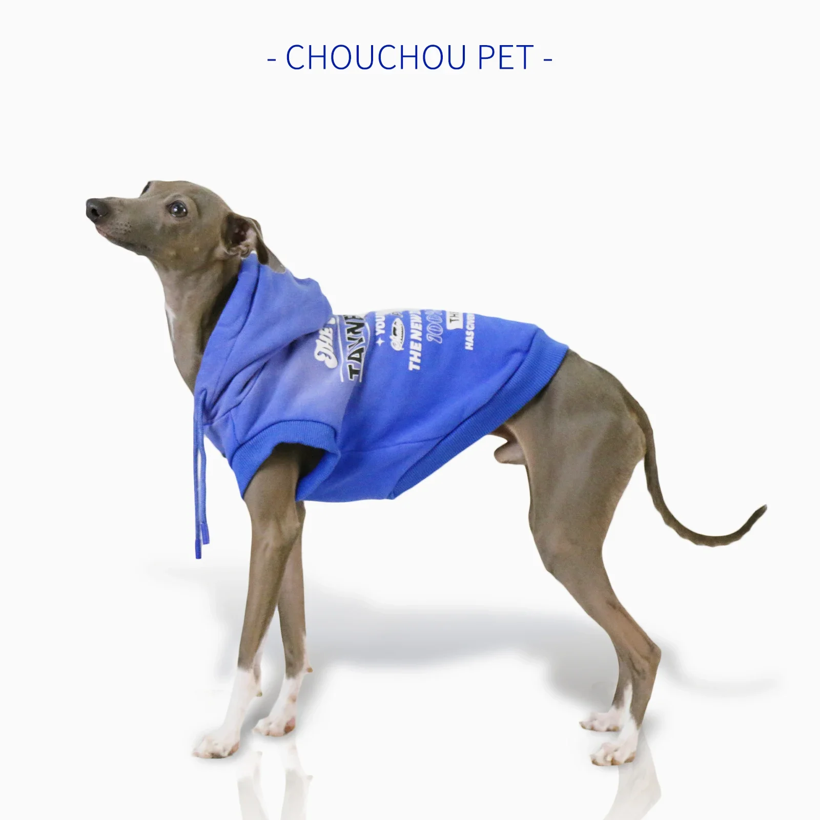 Imagem -03 - Camisola sem Mangas com Capuz para Pet Gradiente Print na Moda Adequado para Pelúcia Pequena e Média Cão Pequeno e Médio Galgo Primavera e Outono