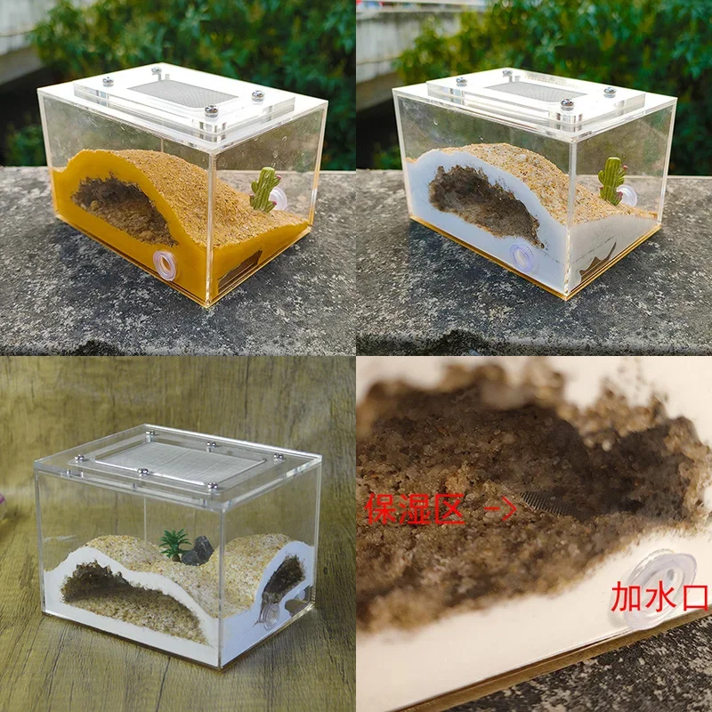 Shiwang Ant House DIY Mini Imitation Original Ecological Gypsum Ant Nest Pet Ant Castle Workshop Home