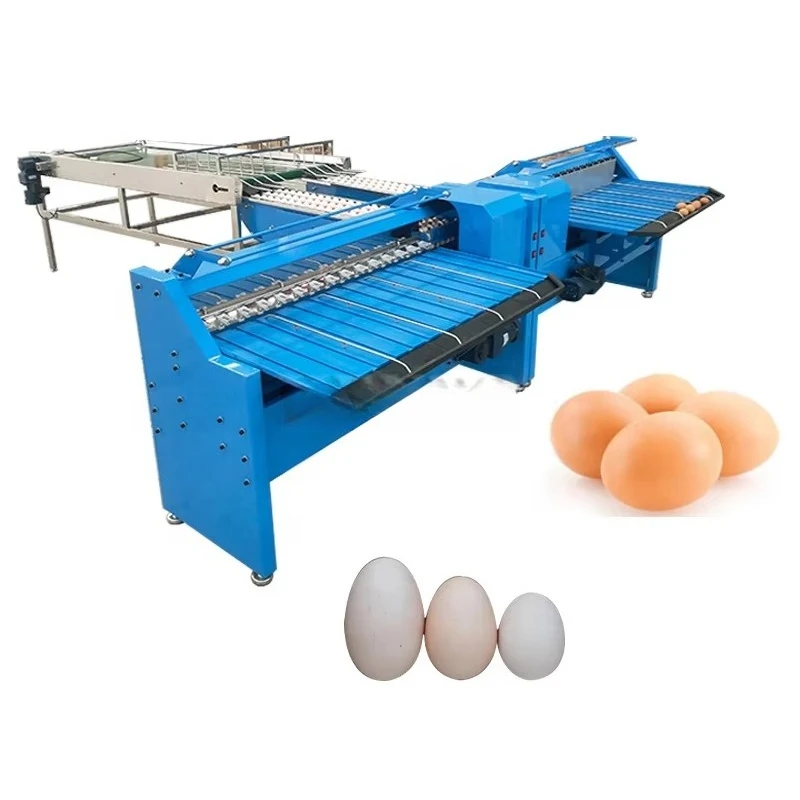 Customized Egg Grading Machine Complete Conveyor Type Egg Weight Sorting Equipment With Pre-inspection Table For Egg Processing