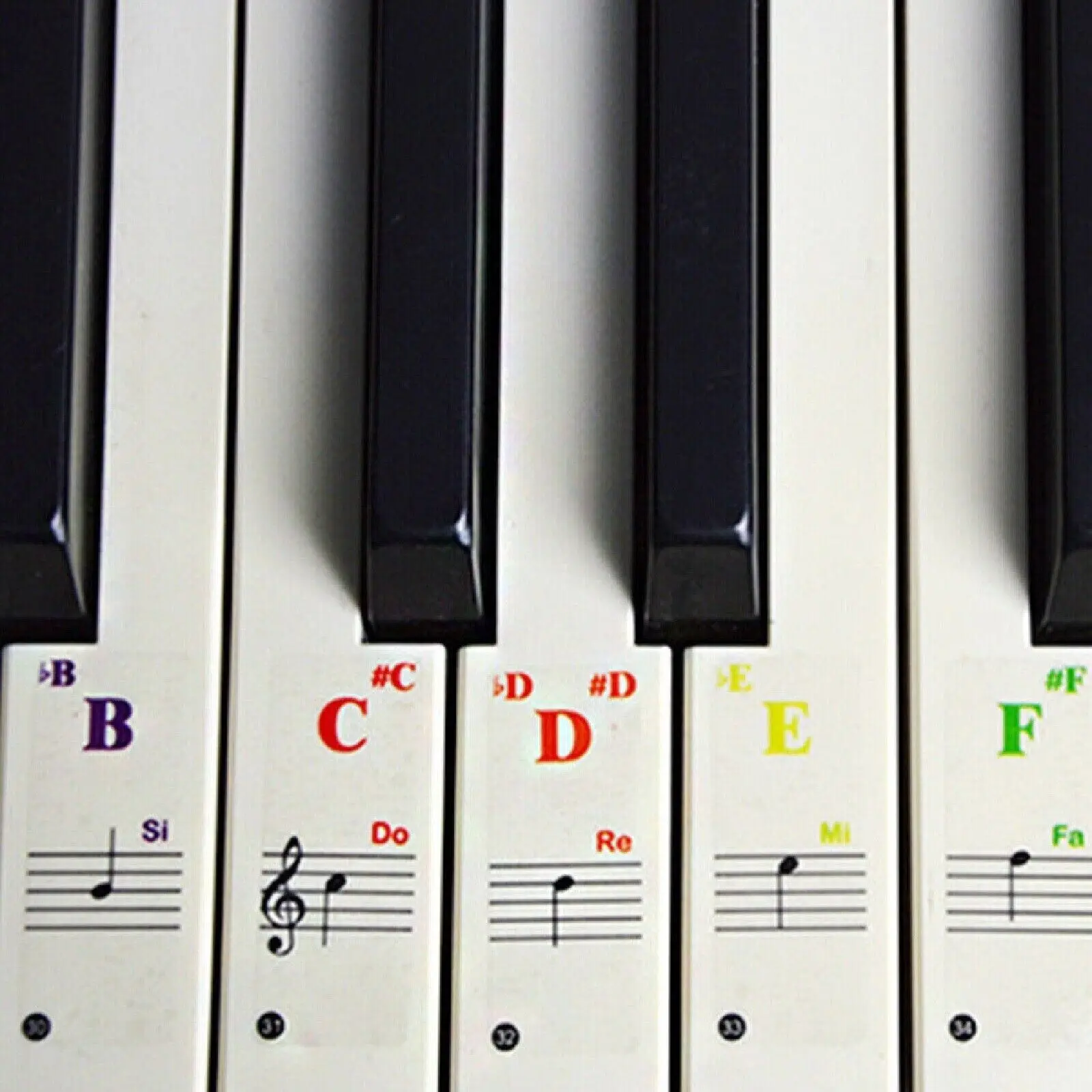Easy To Learn 37/49/61/88 Key Piano Learning Simplified Sheet Music Stickers Music Keyboard Sticker Note Removable Sticker 6