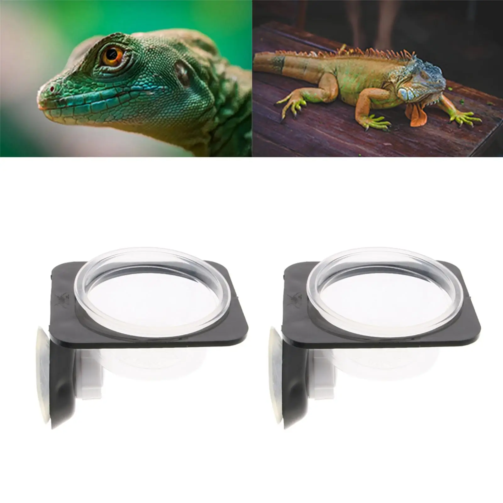 Bols ronds en plastique pour amphibiens, tortue Gecko, diamètre 6cm, 1 paire