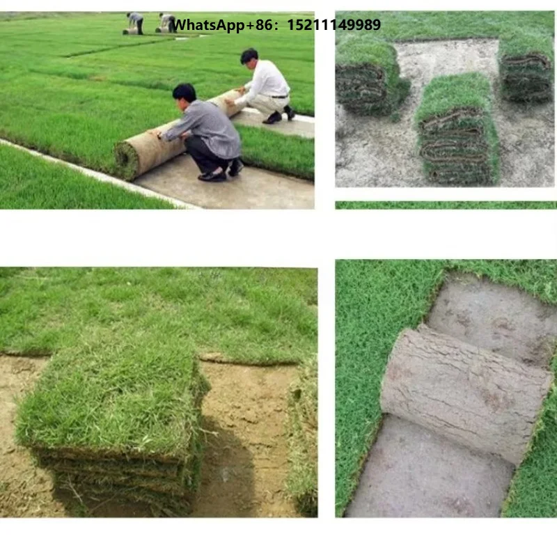 Manual Walking Leather Drafting Machine Turf Cutter Sod Harvesting Machine