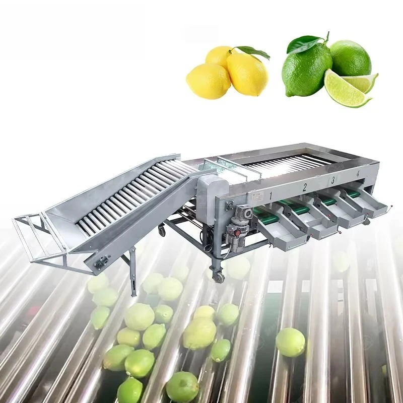 Industrial Avocado Orange Automatic Roller Sizer Fruit Vegetable Grading Equipment Lemon Avocado Sorting Machine view 4