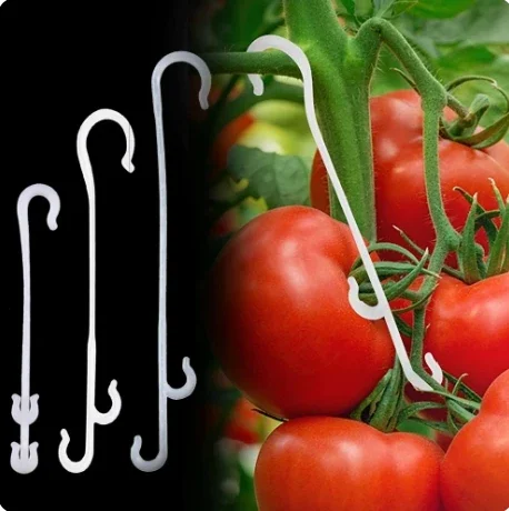 50/100pcs Tomato Support Hooks 9.5/13/16cm Plant Support Vegetable Clips To Prevent Tomatoes Fruit Cluster From Pinching