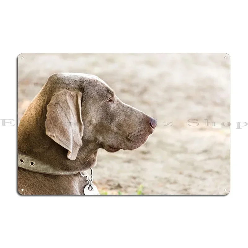 Adorable Weimaraner Metal Sign Cinema Funny Party Designer Wall Mural Tin Sign Poster