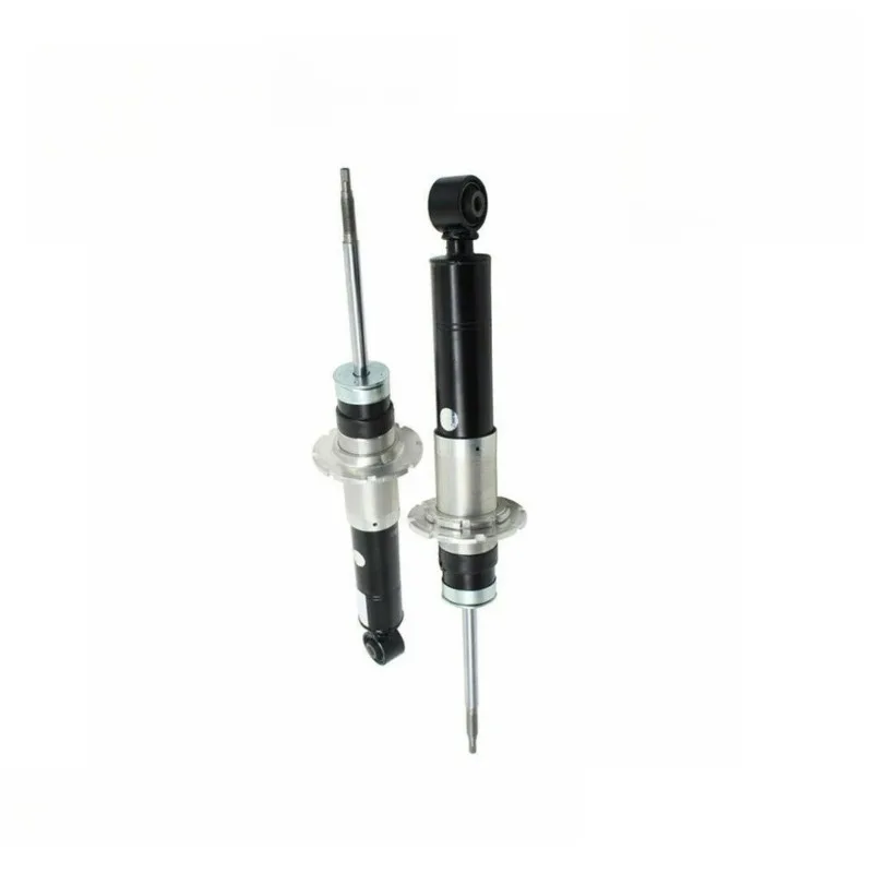 The magnetic assembly of the left and right shock absorbers on rear of auto parts is 255864