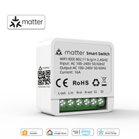 Matter Relay Smart Breaker Voice Control Homekit Siri WIFI Smart Switch 1 CH Module Automation Alexa Google Home