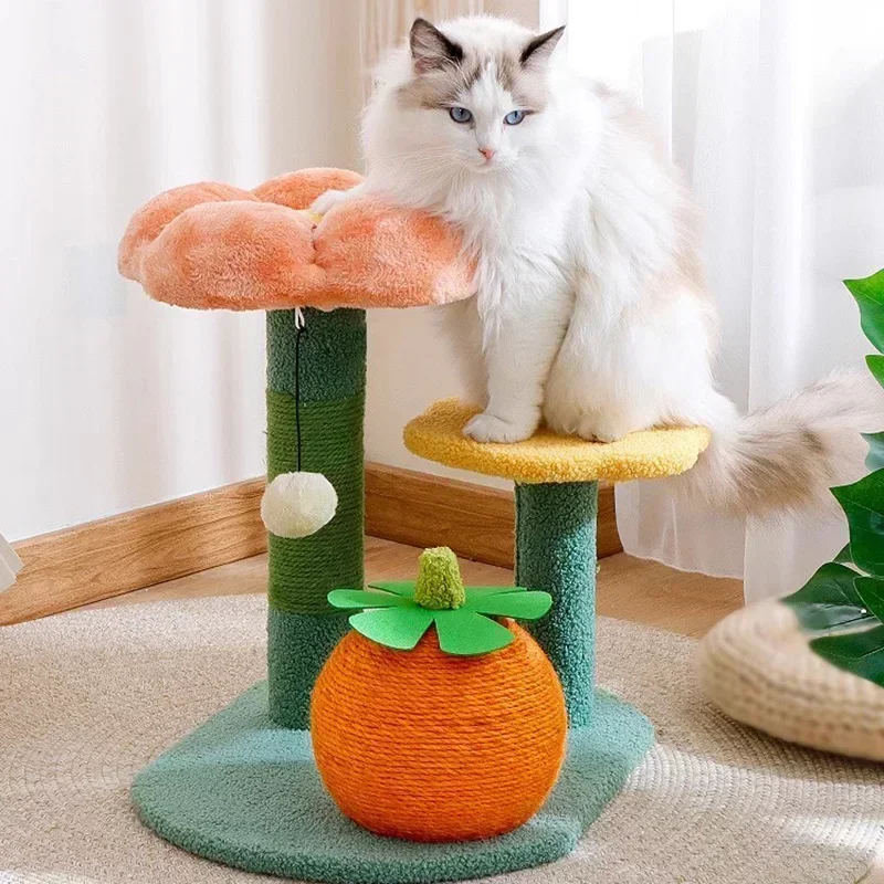 Pet Toys Wall Beds Cat House Scratch Board Wooden Catnip Cat House Climbing Carrier Griffoire Pour Chat Kitten Accessories