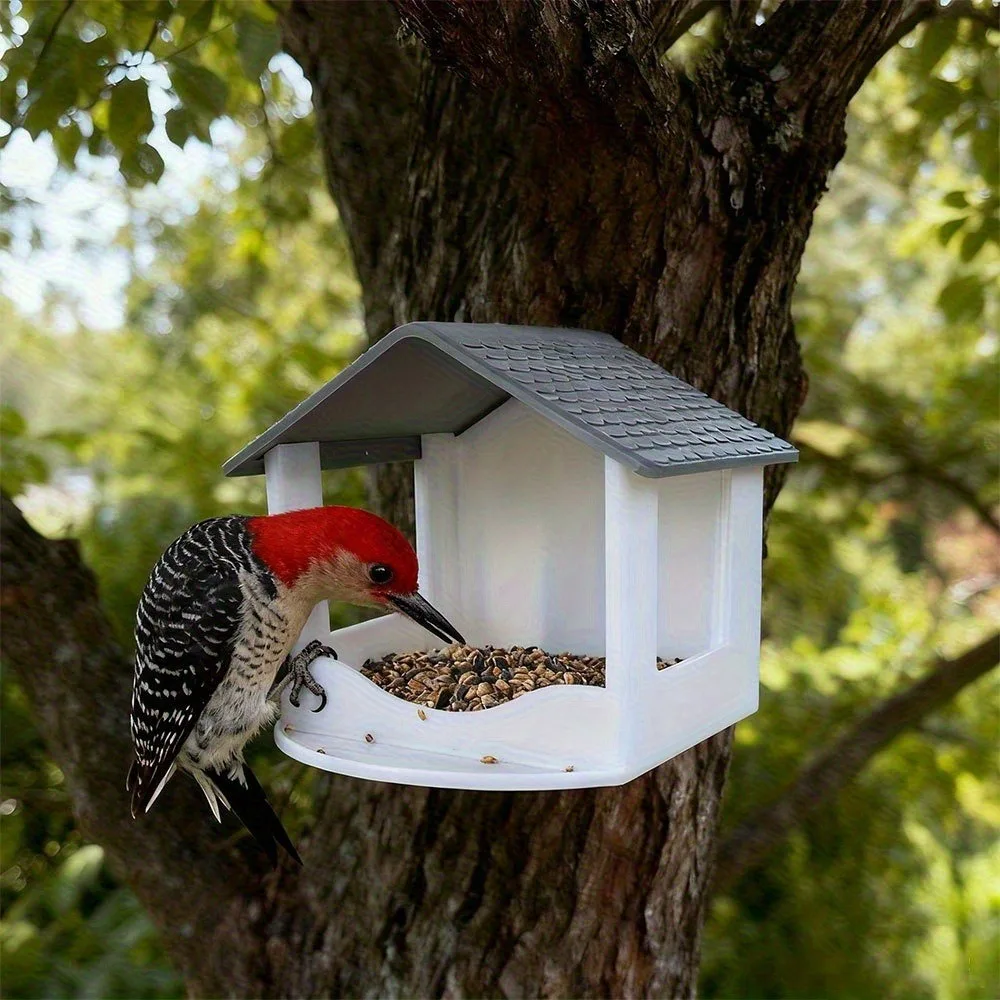 Thumbnail 3 - #82 Compare Birdhouses Before You Buy