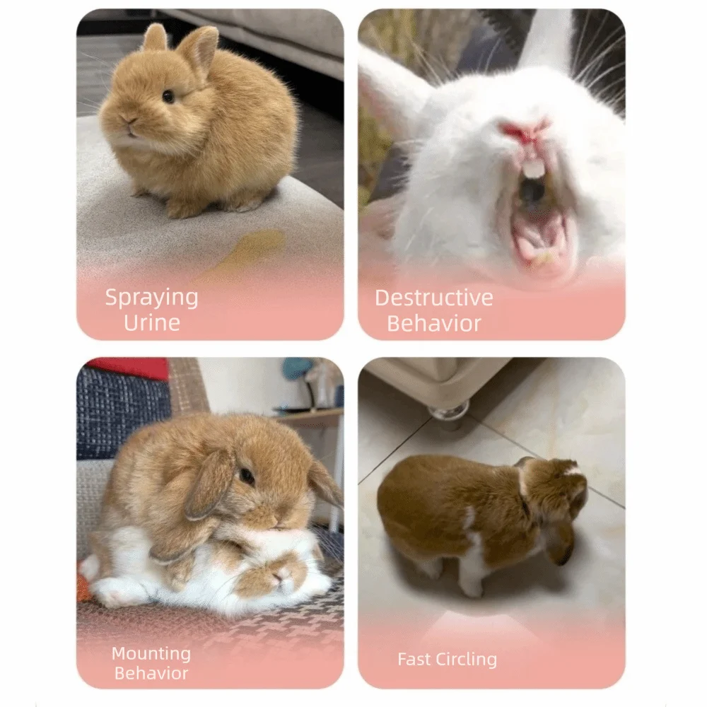 Simulated Rabbit Buttocks Rabbit Venting Ball Bite Resistant Fluffy Rabbit Calming Ball Comfortable Soft Rabbit Fur Ball