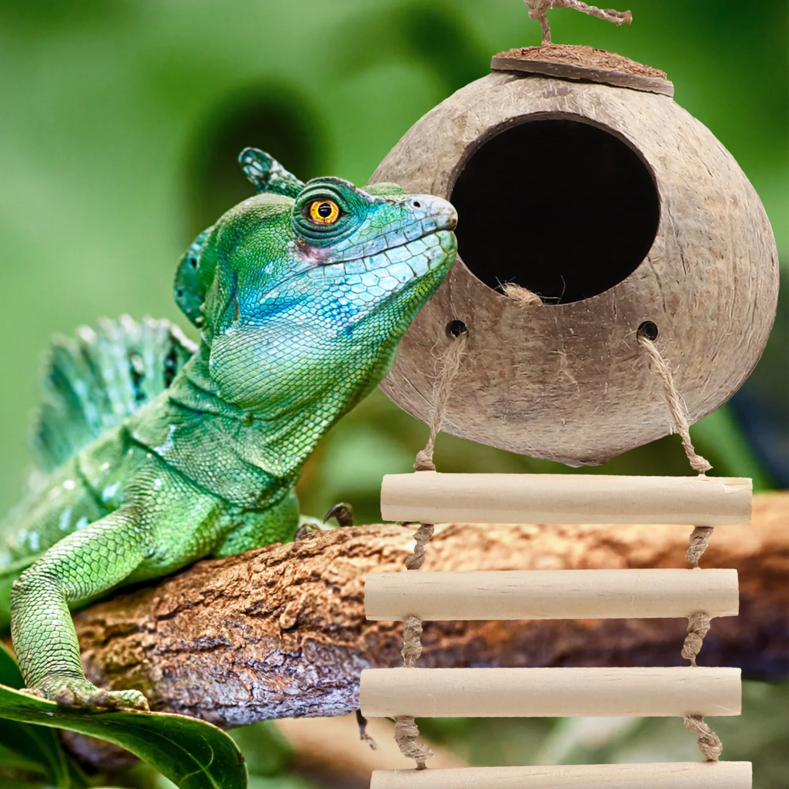 

1Set Realistic Gecko Climbing Vines Lifelike Reptile Plant Decor for Terrarium Habitat Reptile Hideout Decorative Climbing Vine